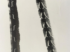 Rectificación de los pliegos