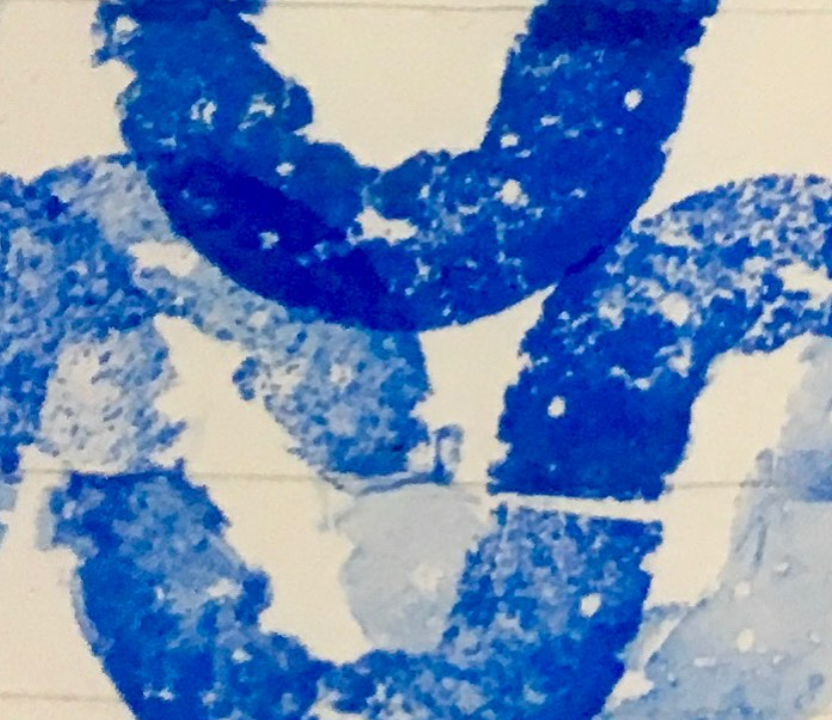 Procedimiento de imposición de las prohibiciones de contratar