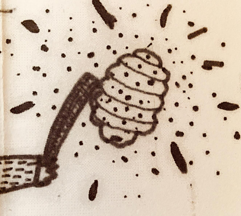 Criterio sometido a evaluación automática