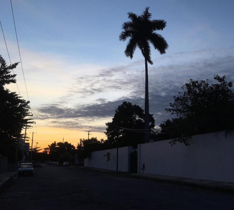 Presentación de huella electrónica sin oferta