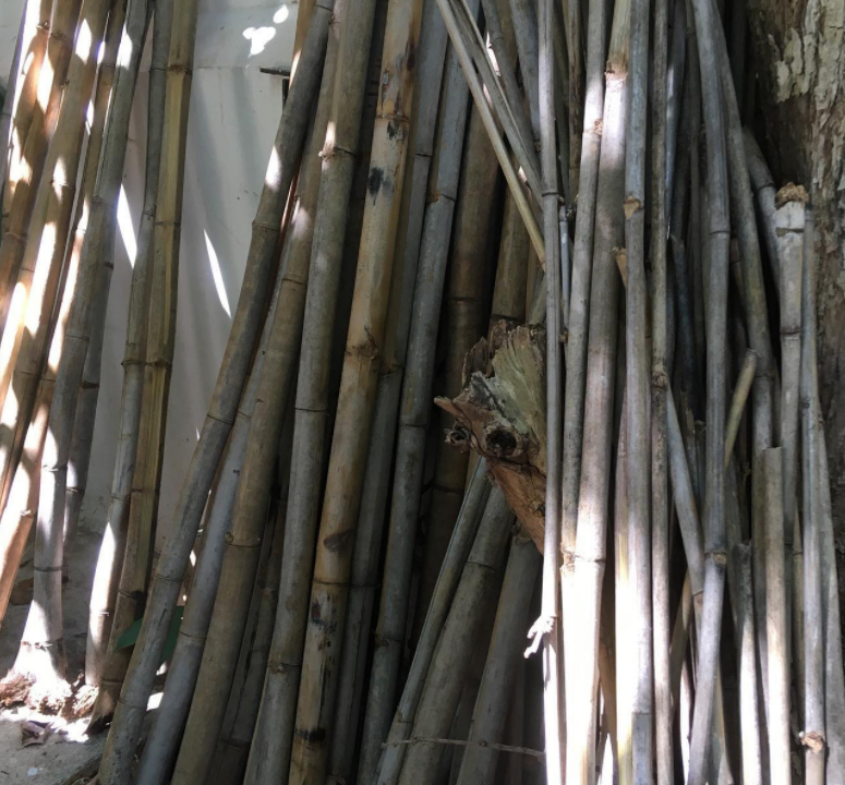 Cumplimiento de los requisitos técnicos