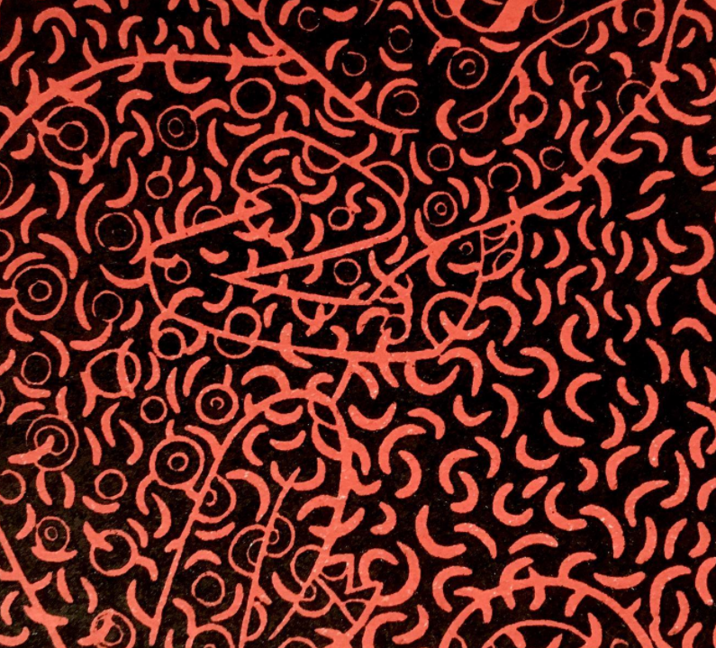 La Mesa de Contratación no ostenta competencia para acordar exclusión en el sobre 2 y 3, solo puede proponer al Órgano de Contratación